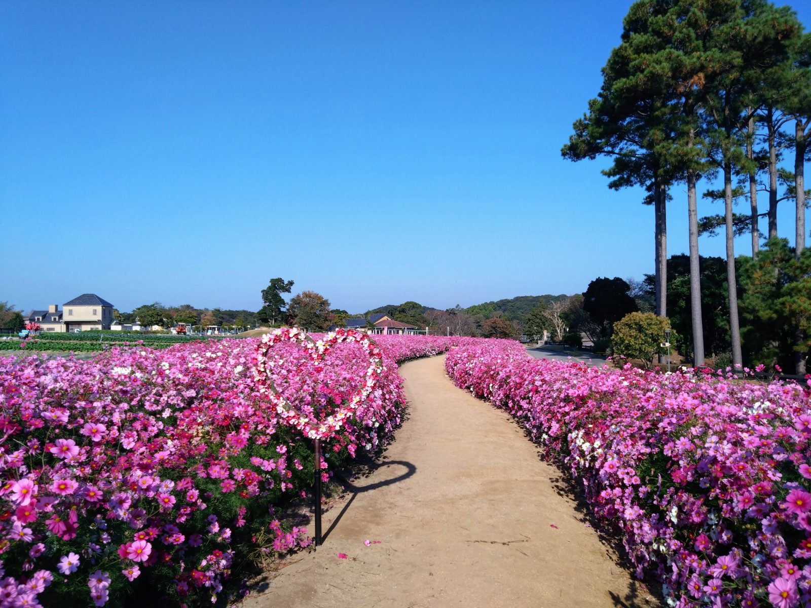 淡路农场公园球场之丘|淡路岛美爵温泉度假酒店【官方】