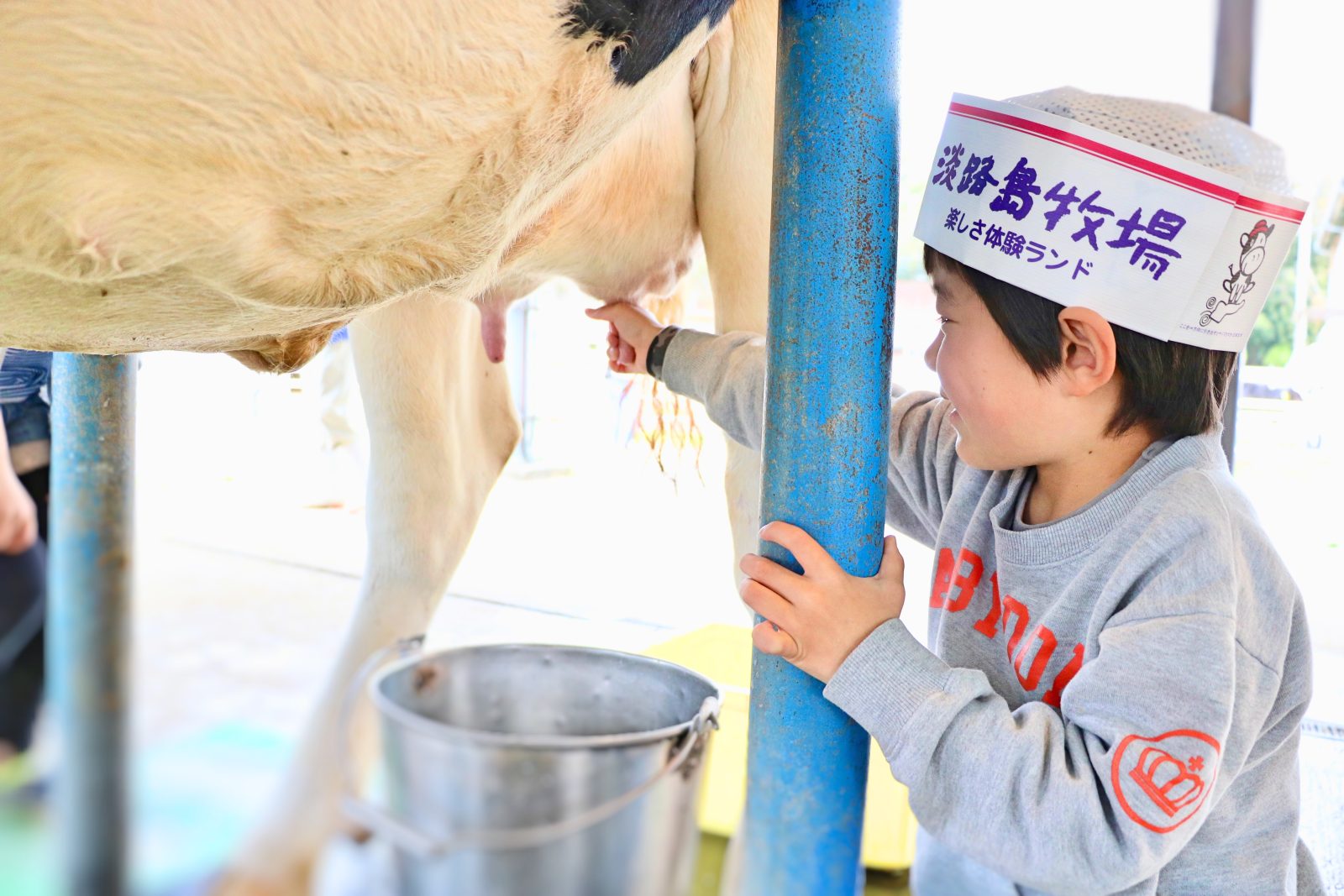 淡路岛牧场|淡路岛美爵温泉度假酒店【官方】