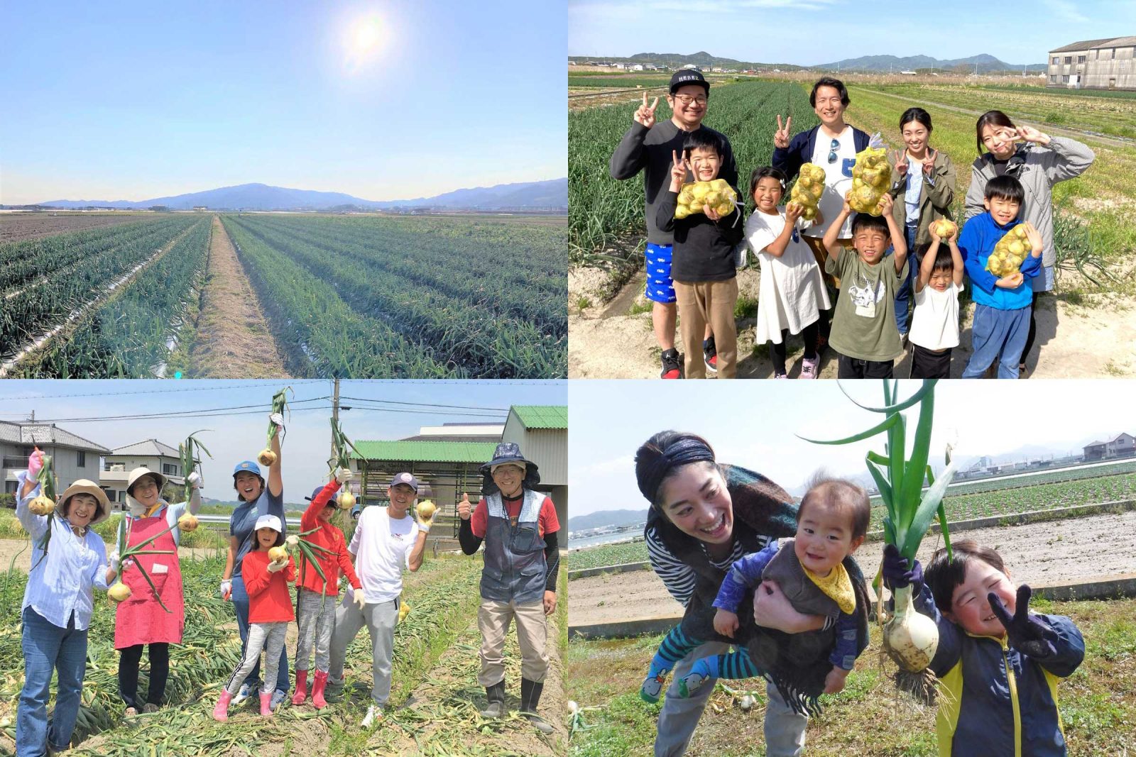 淡路岛滨田农场|淡路岛美爵温泉度假酒店【官方】