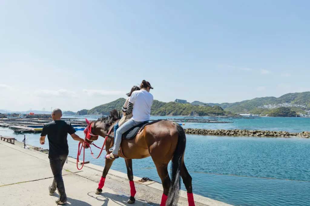 淡路鱼翅户外度假村|淡路岛美爵温泉度假酒店【官方】