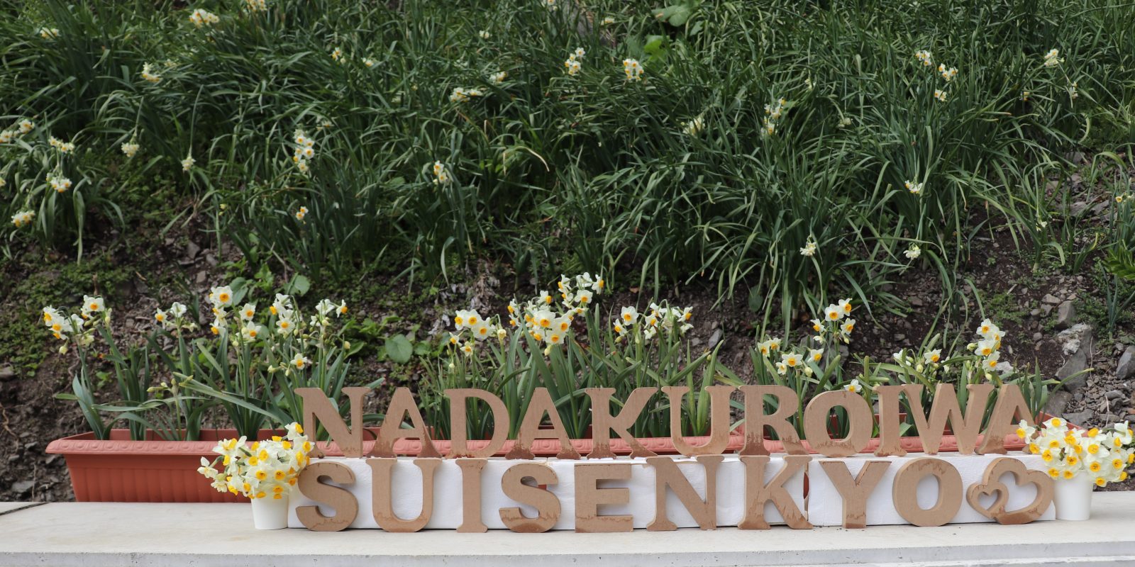 Nada Kuroiwa Narcissus Town | Grand Mercure Awaji Island Resort & Spa [Official]