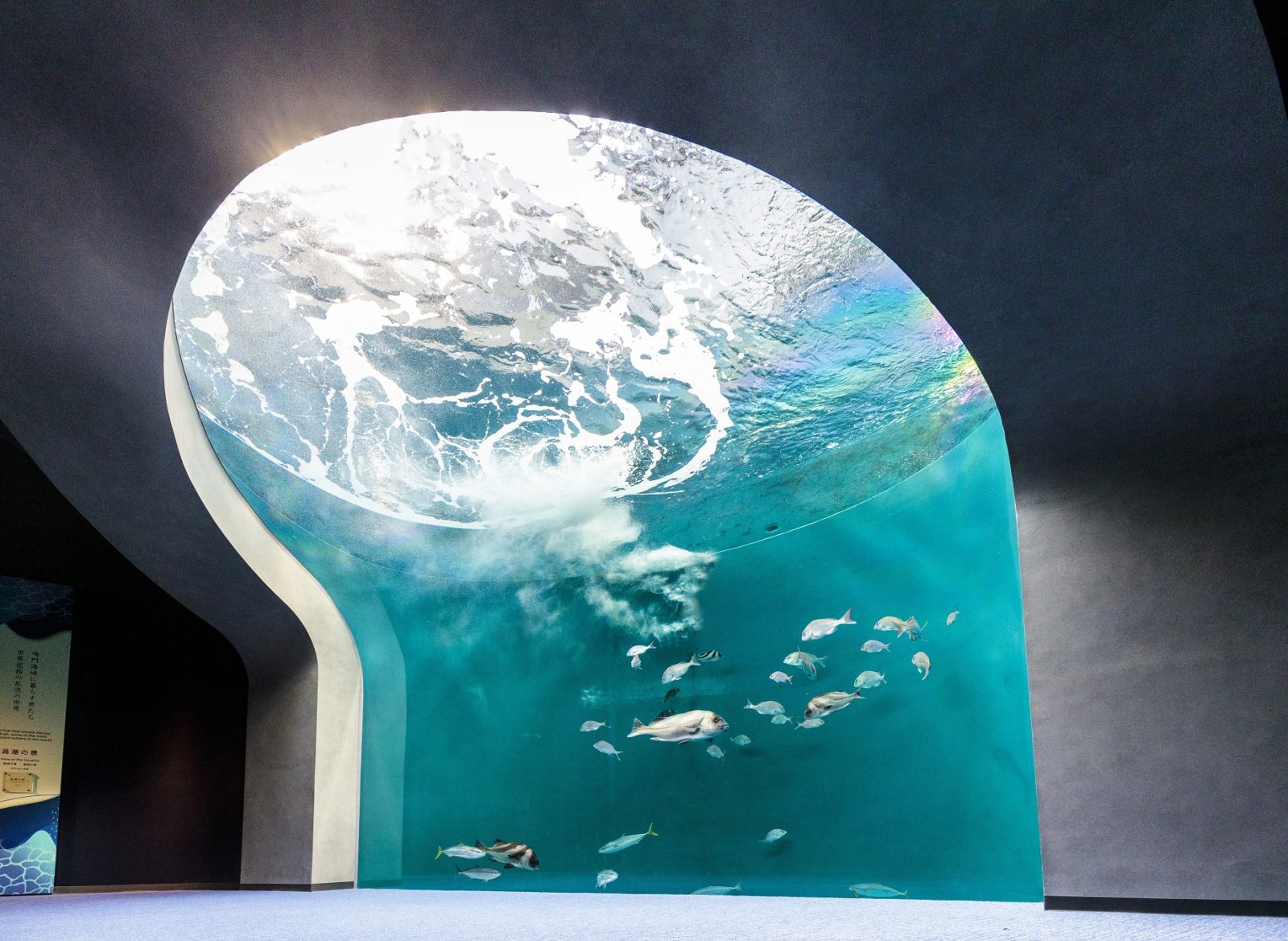 Shikoku Aquarium | Grand Mercure Awaji Island Resort & Spa [Official]