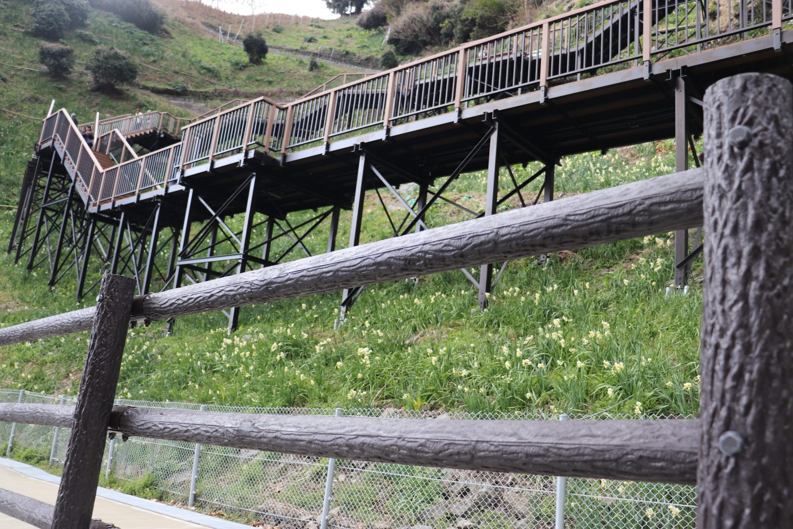 You can stroll through the wooden deck, so we recommend shoes that are easy to walk.