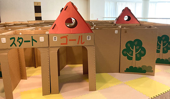 Cardboard maze