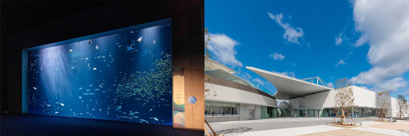 四國水族館|淡路島美爵溫泉度假酒店【官方】