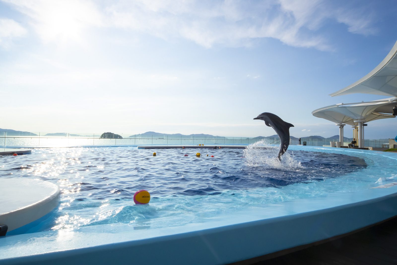 四國水族館|淡路島美爵溫泉度假酒店【官方】